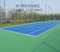 柳州两面针集团硅pu塑胶网球场