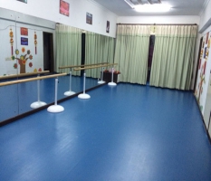 幼儿园舞蹈室pvc塑胶地板