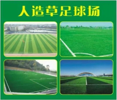 梧州人造草坪施工