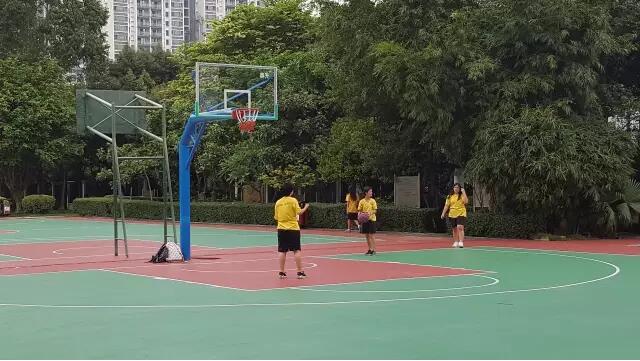 硅pu厂家成冠体育