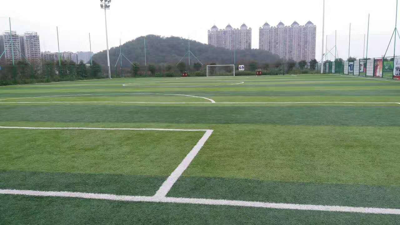 人造草坪价格-人造草施工-人造草坪材-成冠体育